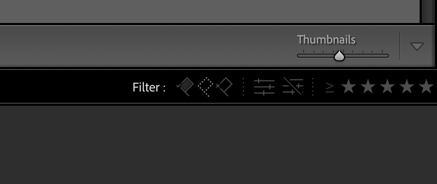 Organizing photos in lightroom using the reject and flag filters