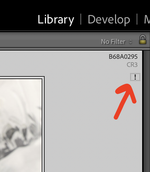 Missing Image File Alert in Lightroom