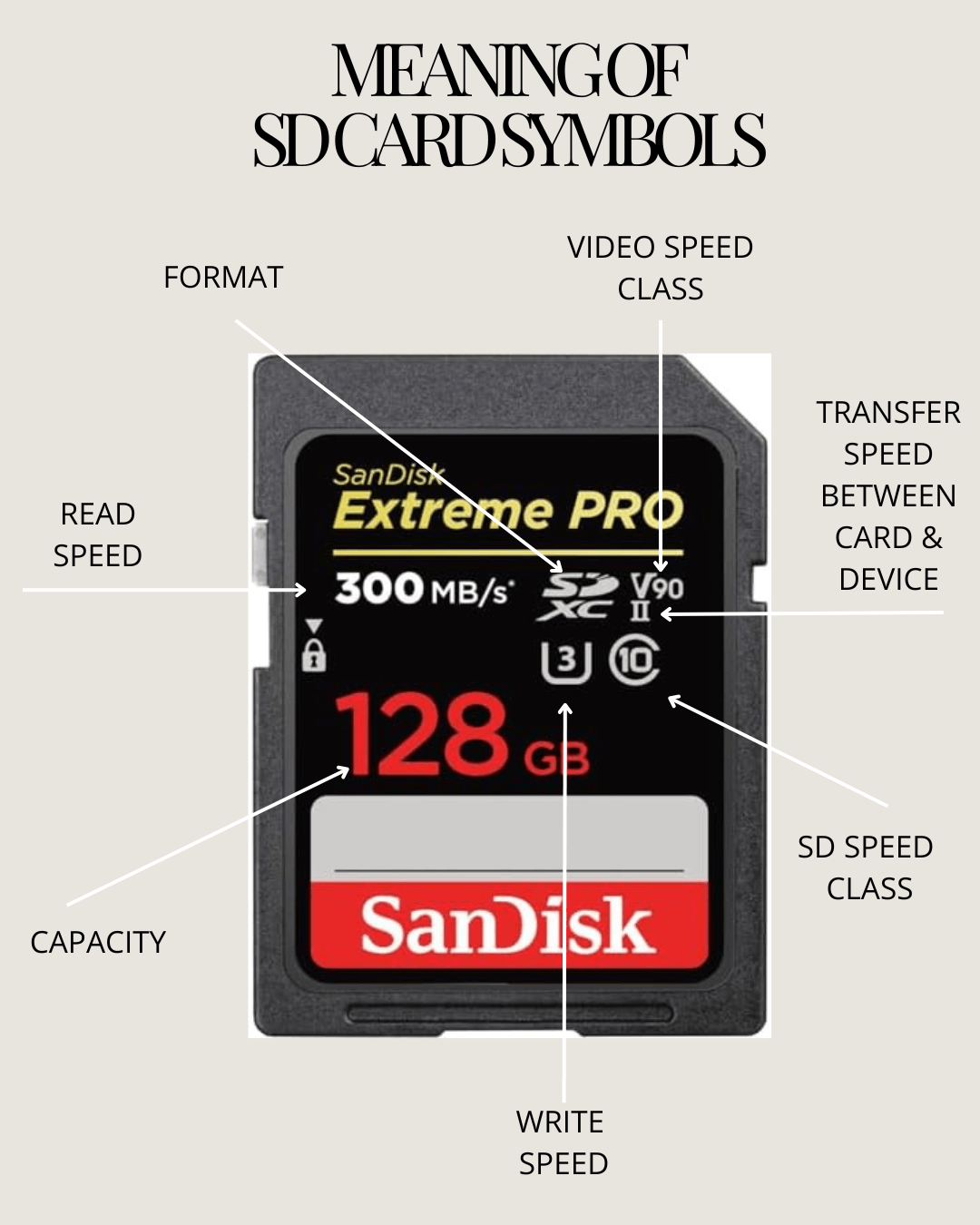 SD Card Symbol Meanings for purchasing SD cards that meet your needs and help you protect your images!